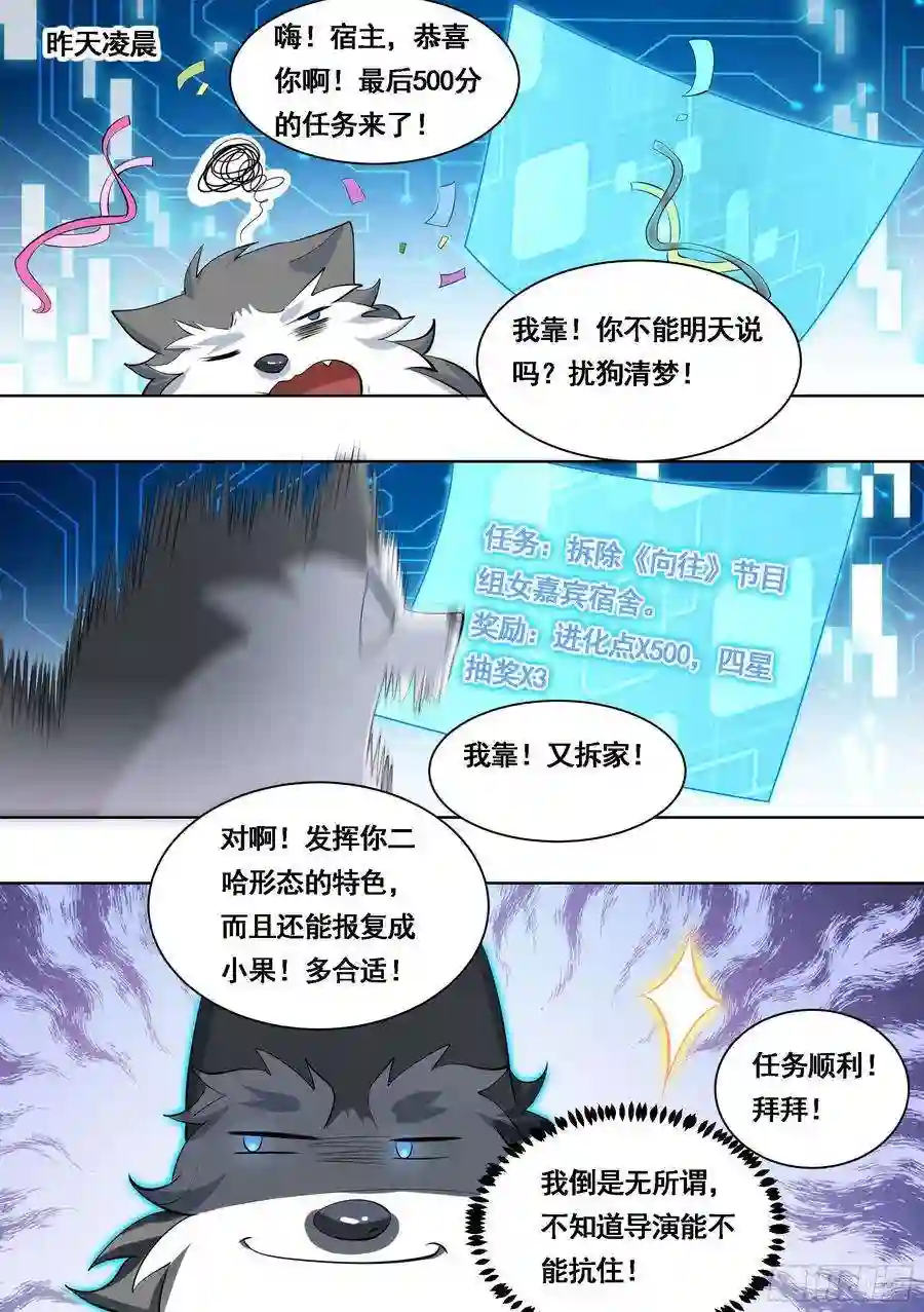 直播：女神家的哈士奇天秀178-拆家准备