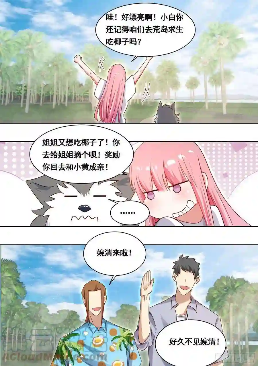 直播：女神家的哈士奇天秀178-拆家准备