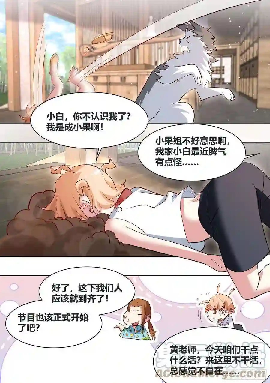 直播：女神家的哈士奇天秀179-对A变对E