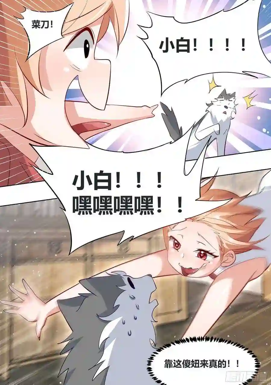 直播：女神家的哈士奇天秀179-对A变对E
