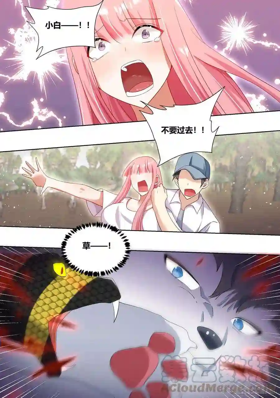 直播：女神家的哈士奇天秀180-英雄救美？