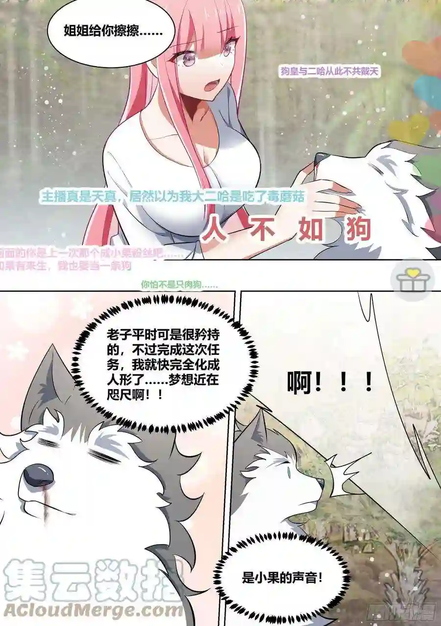 直播：女神家的哈士奇天秀180-英雄救美？