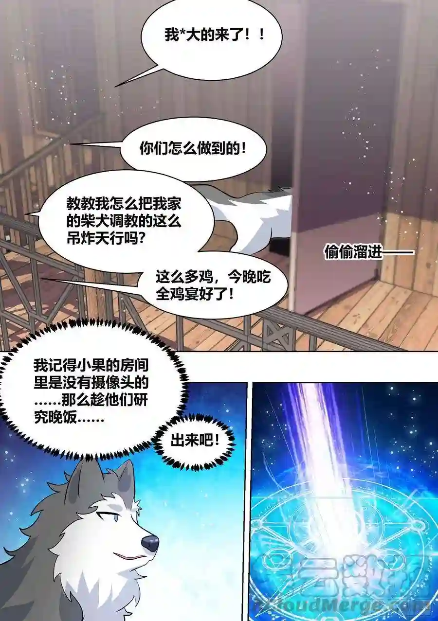 直播：女神家的哈士奇天秀全鸡宴