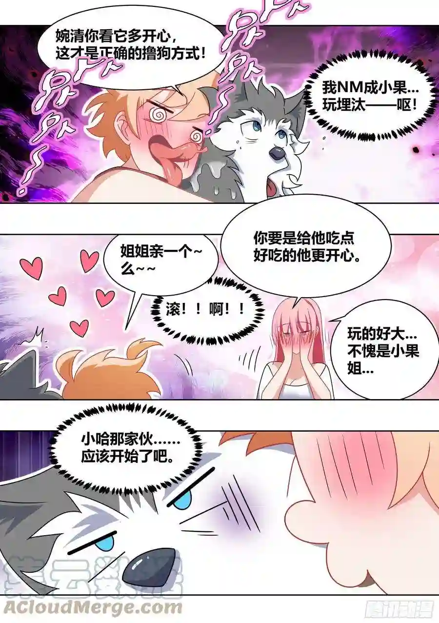 直播：女神家的哈士奇天秀182-你有男朋友啦！