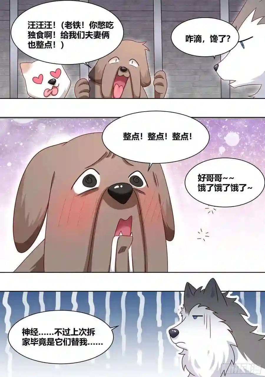 直播：女神家的哈士奇天秀184-演员的自我修养