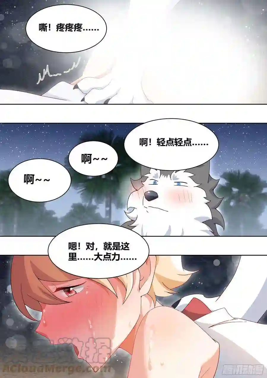 直播：女神家的哈士奇天秀187-直播按摩，达咩