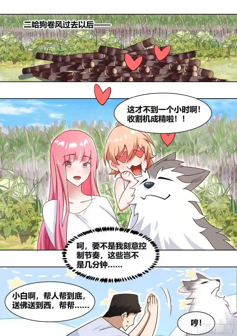 直播：女神家的哈士奇天秀188-无情的甘蔗收割机