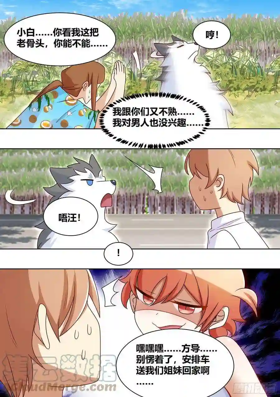 直播：女神家的哈士奇天秀188-无情的甘蔗收割机