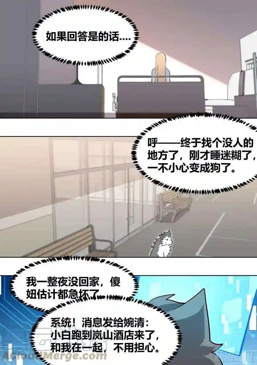 直播：女神家的哈士奇天秀196-他不是…我男朋友