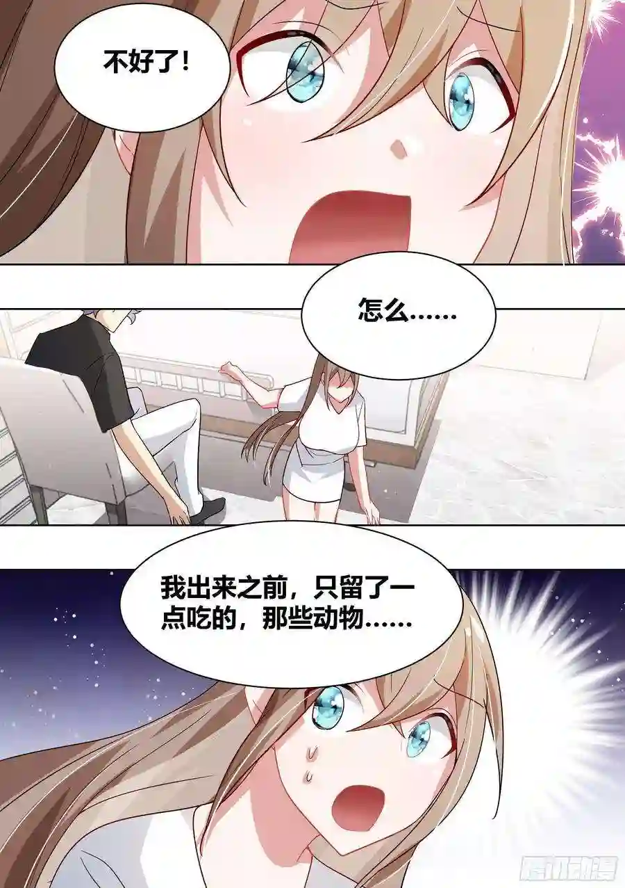 直播：女神家的哈士奇天秀197-清白动物之家