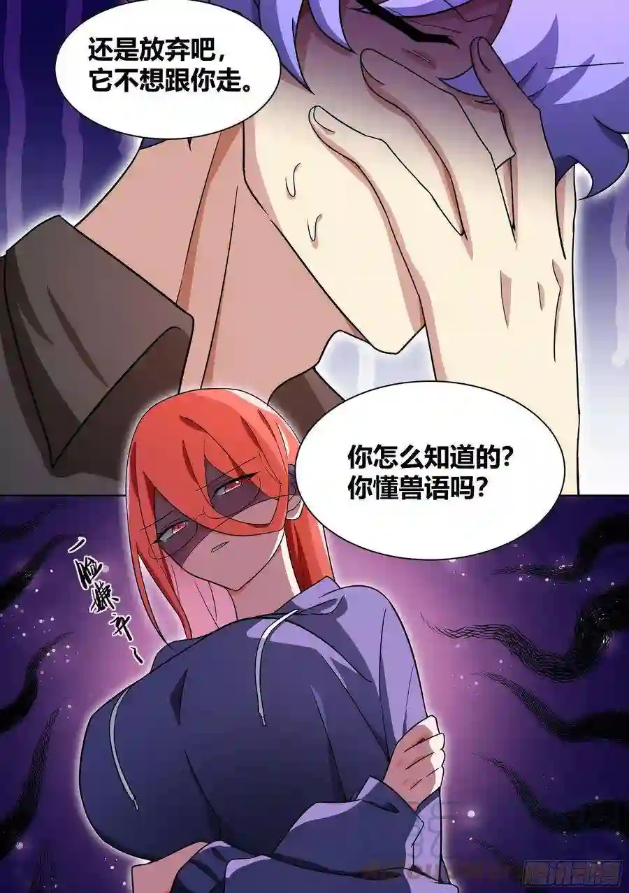 直播：女神家的哈士奇天秀198-我能听懂兽语