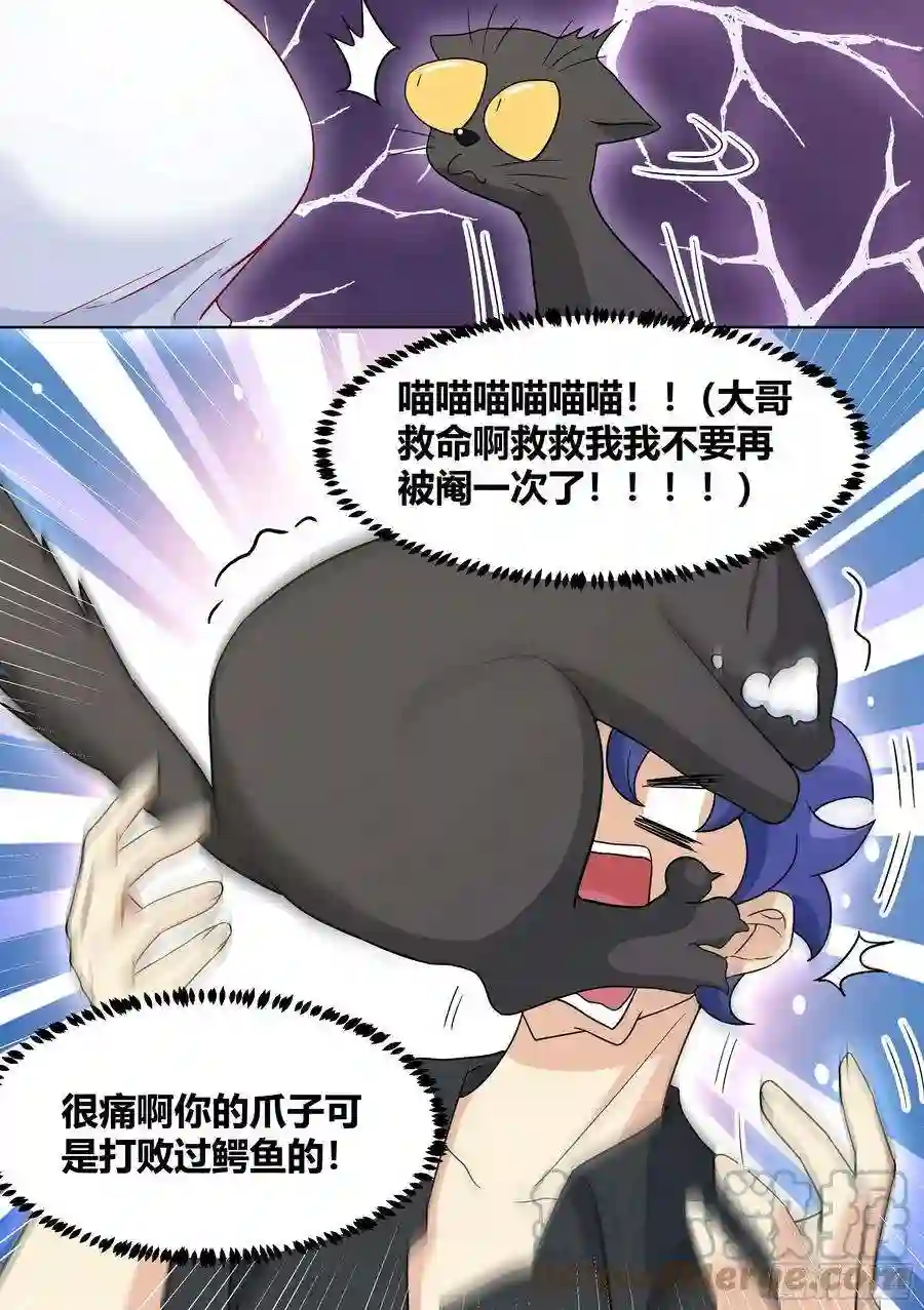 直播：女神家的哈士奇天秀198-我能听懂兽语