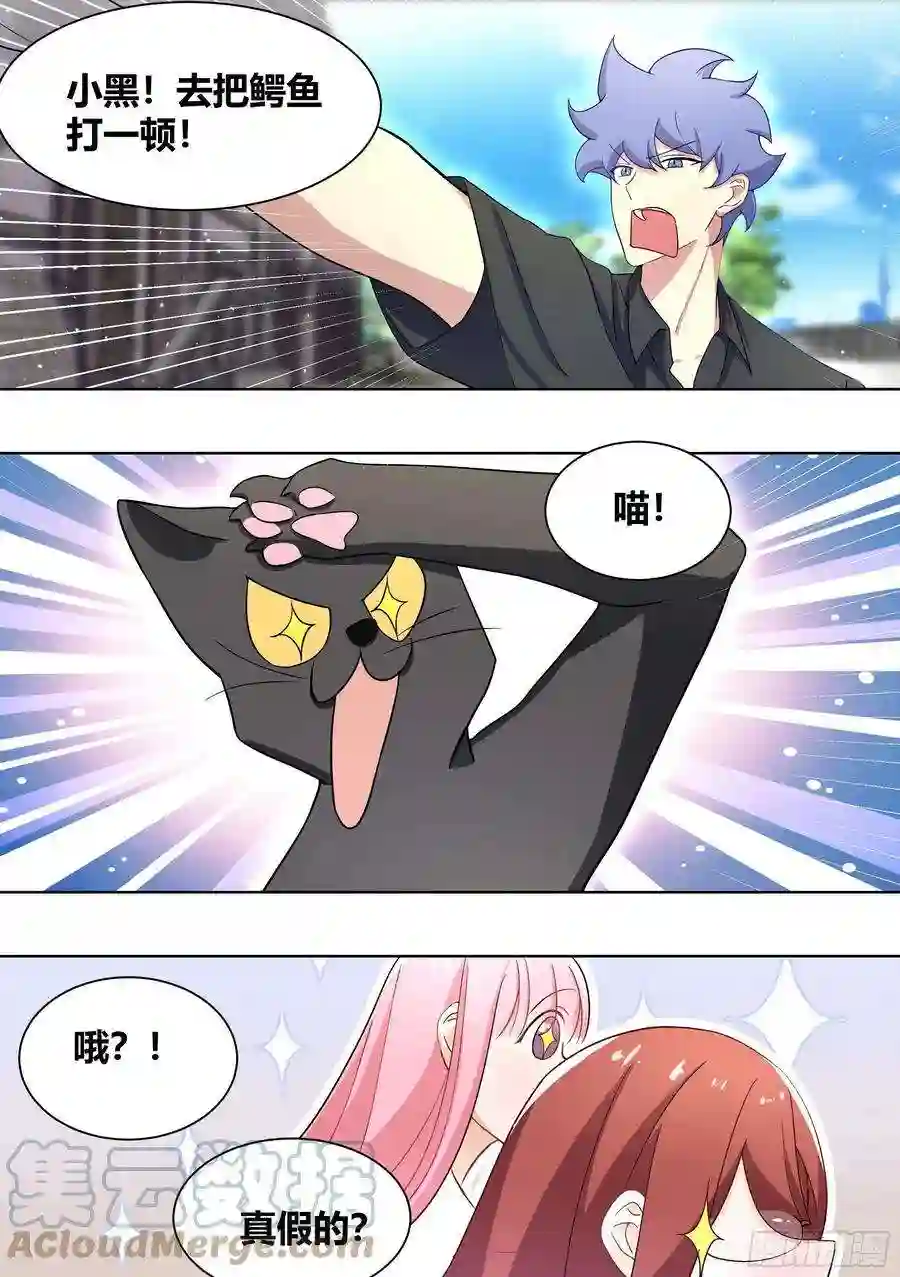 直播：女神家的哈士奇天秀199遇事不决揍鳄鱼