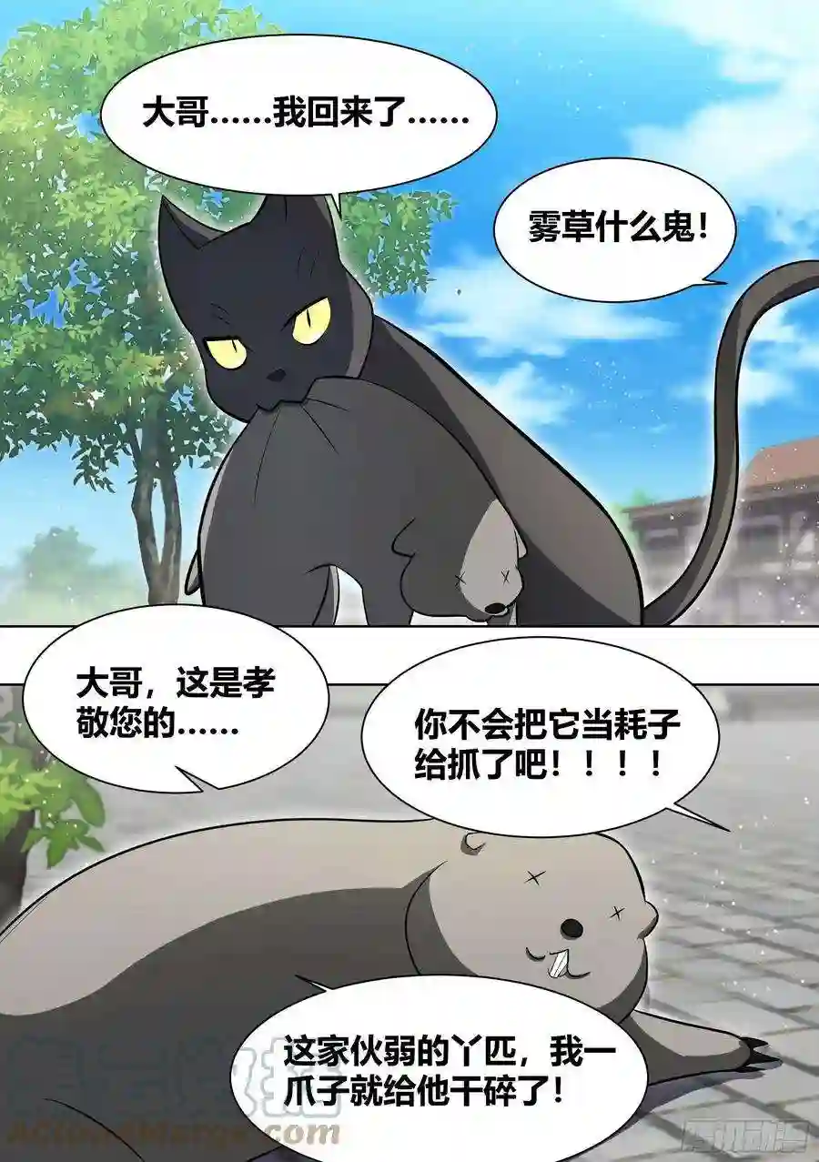 直播：女神家的哈士奇天秀200-猫的报恩