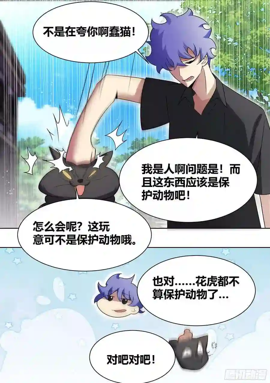 直播：女神家的哈士奇天秀200-猫的报恩