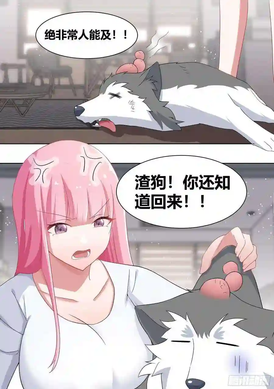 直播：女神家的哈士奇天秀201-猫下水