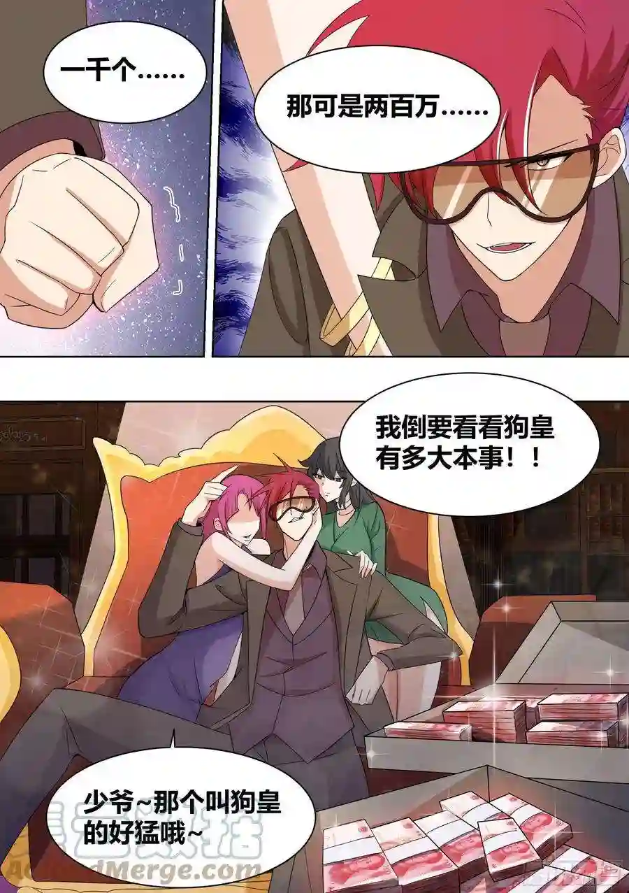 直播：女神家的哈士奇天秀202-合二为一