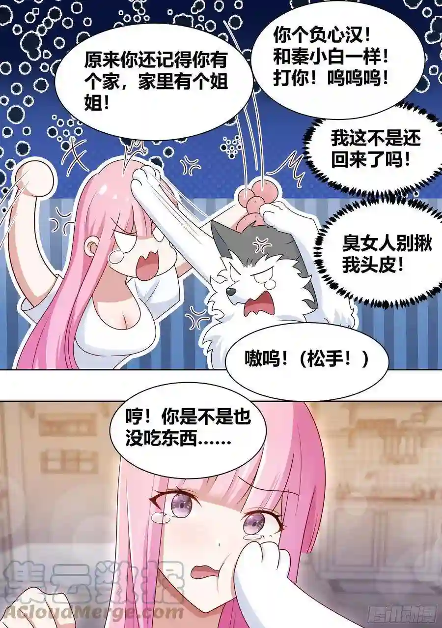 直播：女神家的哈士奇天秀203-虎鱼！