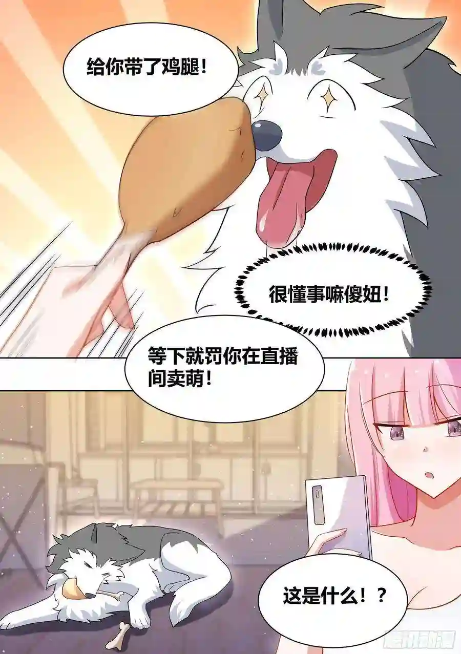 直播：女神家的哈士奇天秀203-虎鱼！