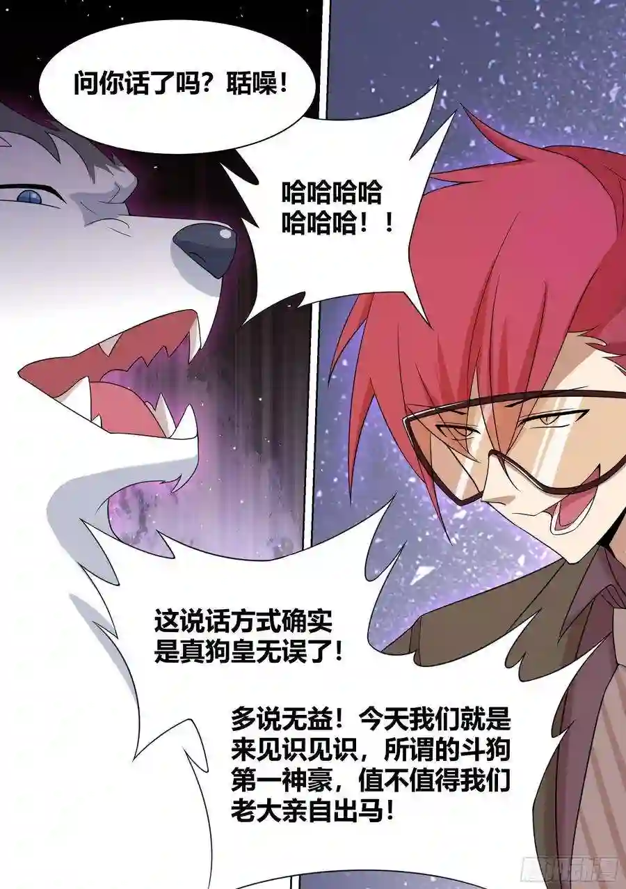 直播：女神家的哈士奇天秀204-败家战争