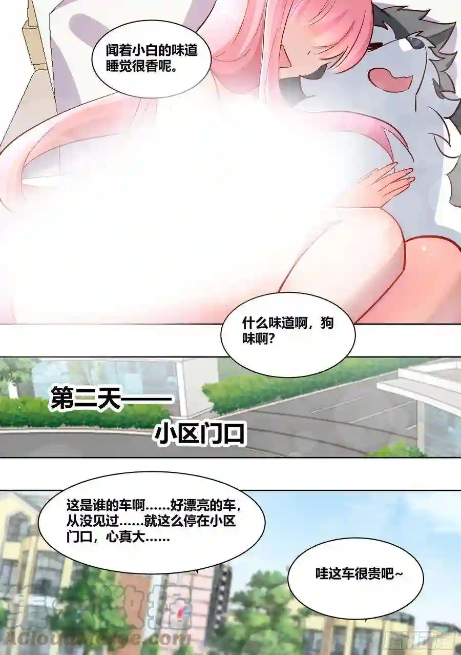 直播：女神家的哈士奇天秀206-这是我的车