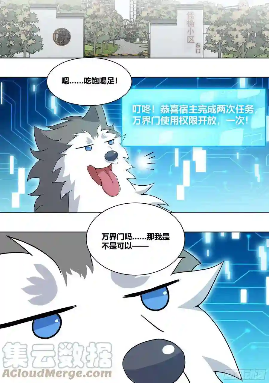 直播：女神家的哈士奇天秀208-搅局