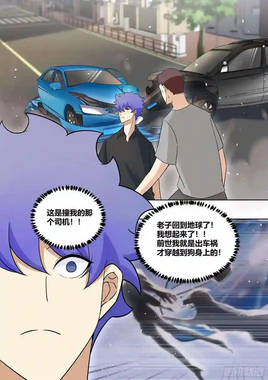 直播：女神家的哈士奇天秀209-话到地球