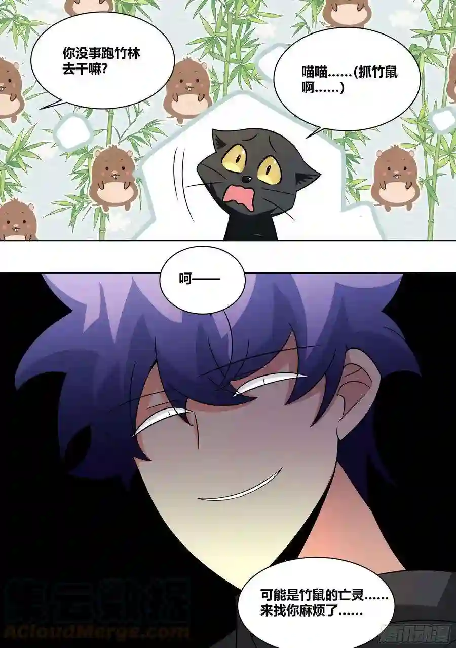 直播：女神家的哈士奇天秀210-节奏又起