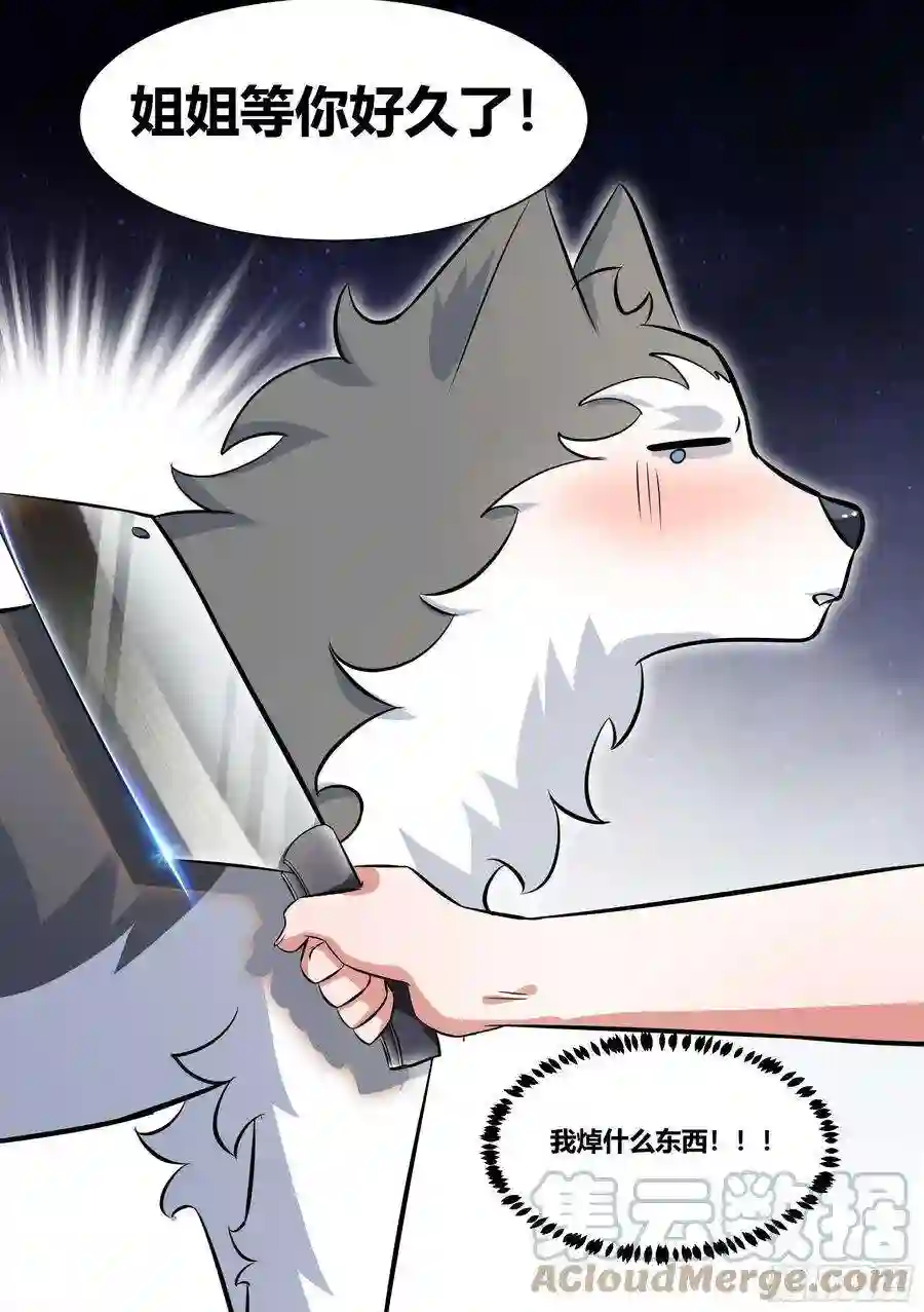直播：女神家的哈士奇天秀215-交涉