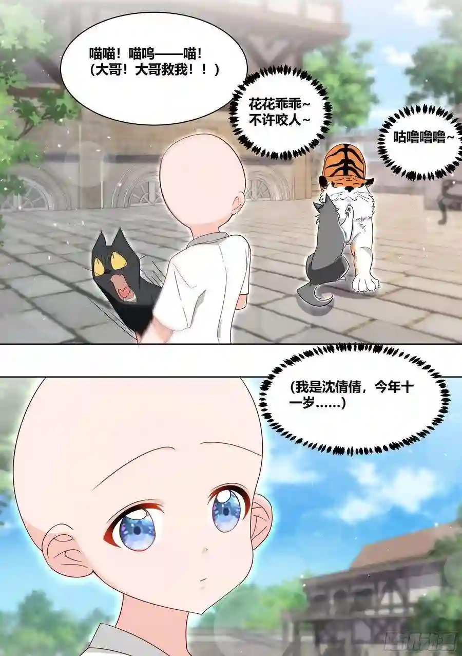 直播：女神家的哈士奇天秀216-发布会