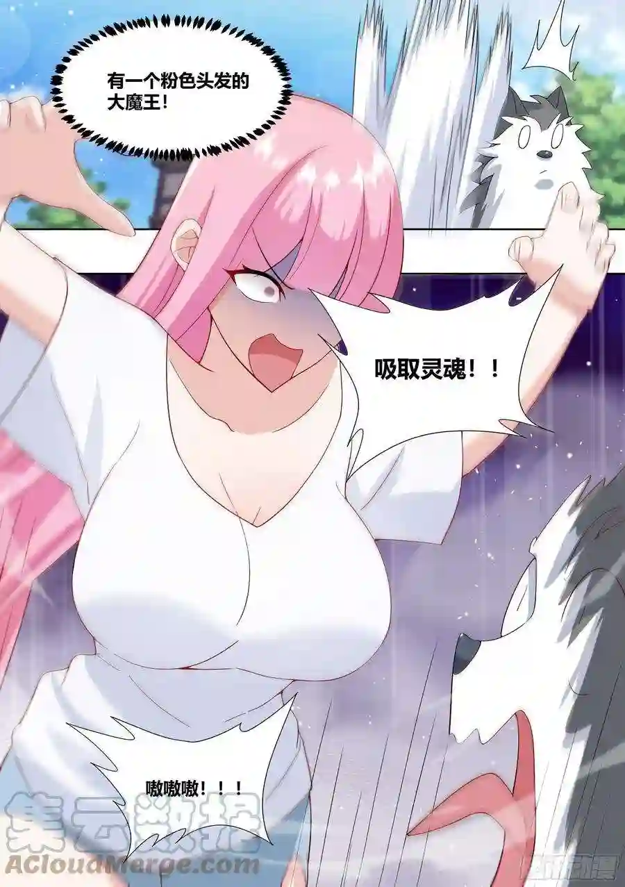 直播：女神家的哈士奇天秀216-发布会