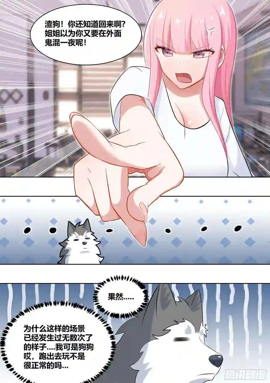 直播：女神家的哈士奇天秀219-逃婚