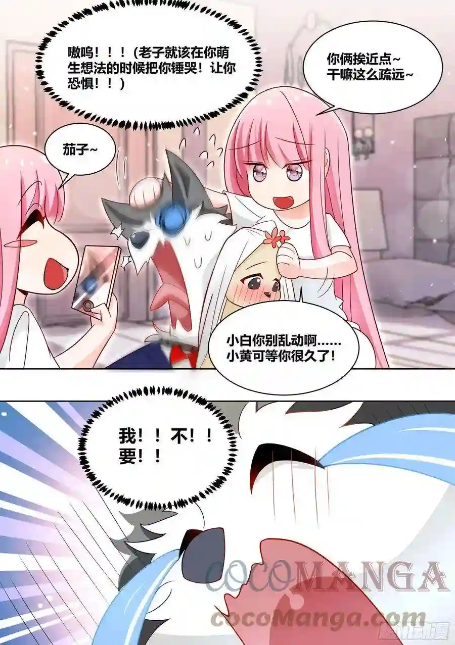 直播：女神家的哈士奇天秀219-逃婚