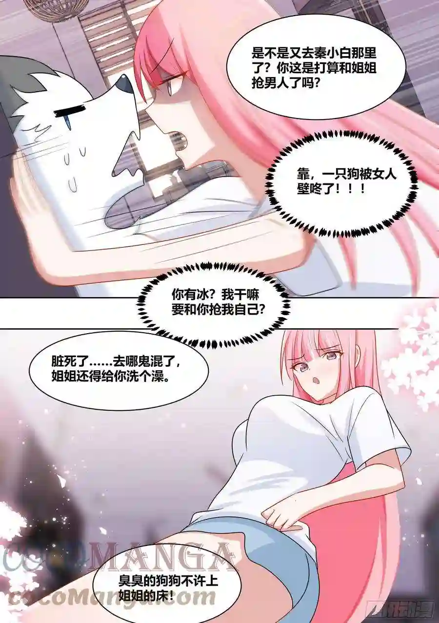 直播：女神家的哈士奇天秀219-逃婚