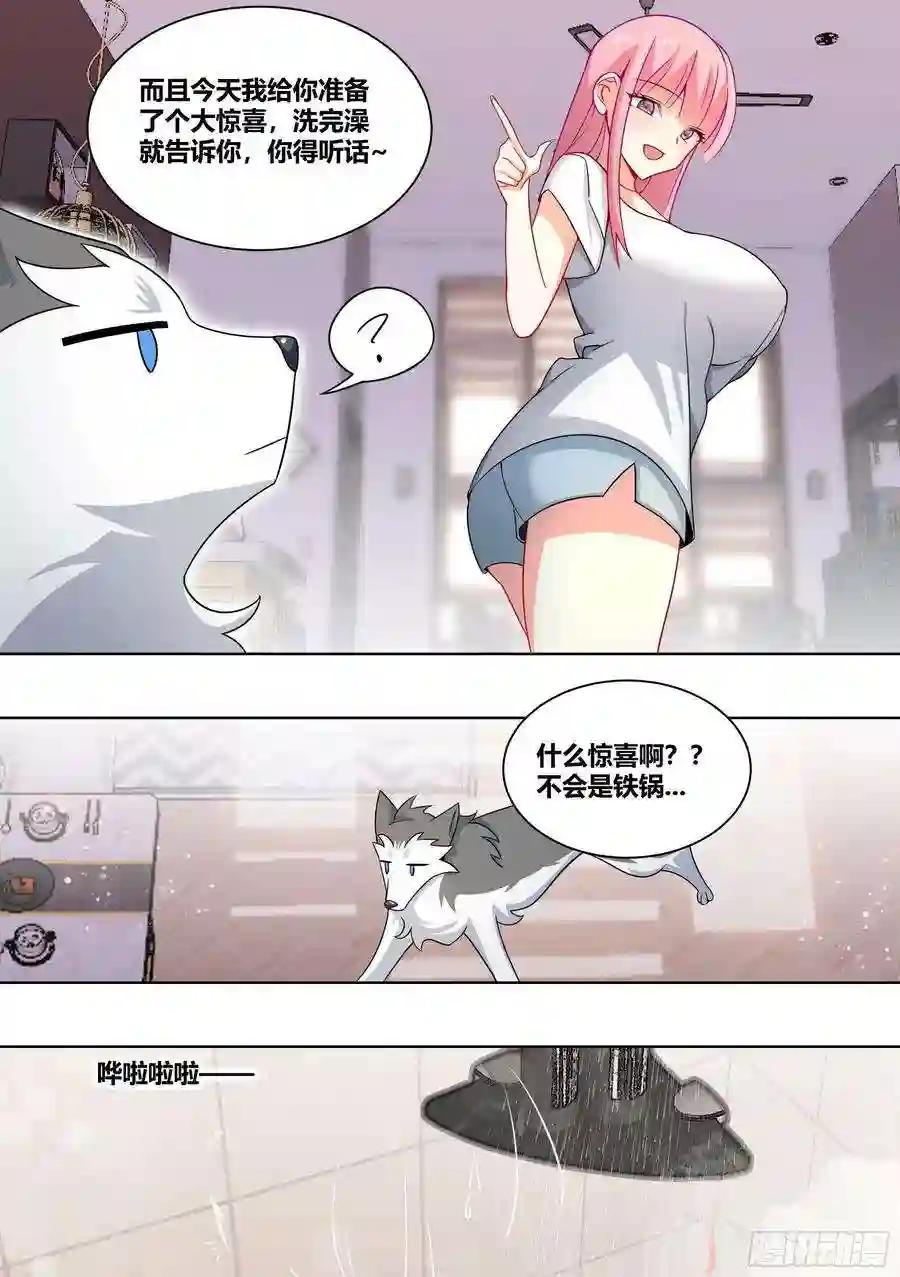 直播：女神家的哈士奇天秀219-逃婚