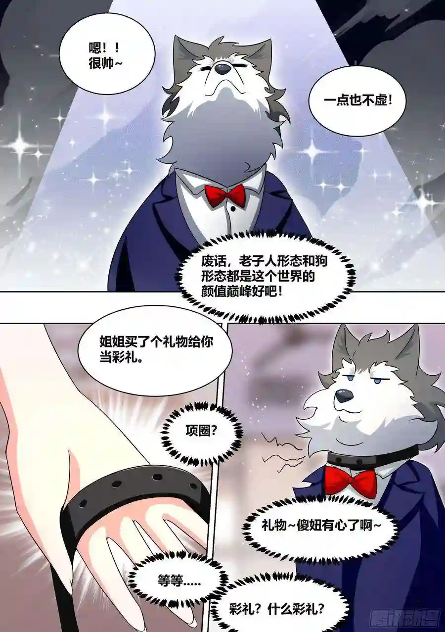 直播：女神家的哈士奇天秀219-逃婚