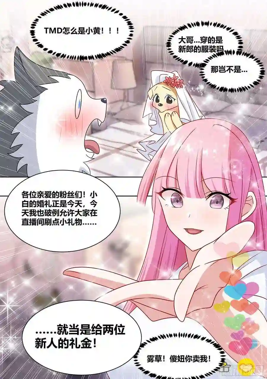 直播：女神家的哈士奇天秀219-逃婚