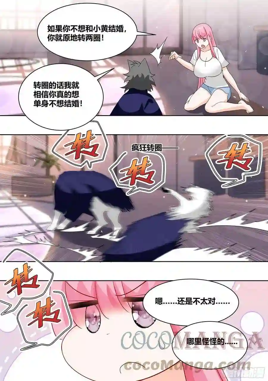 直播：女神家的哈士奇天秀219-败家指令