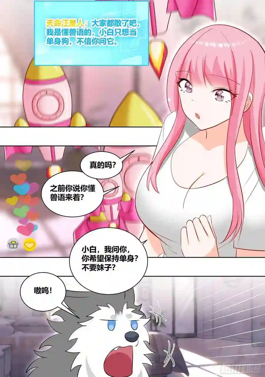 直播：女神家的哈士奇天秀220-败家指令