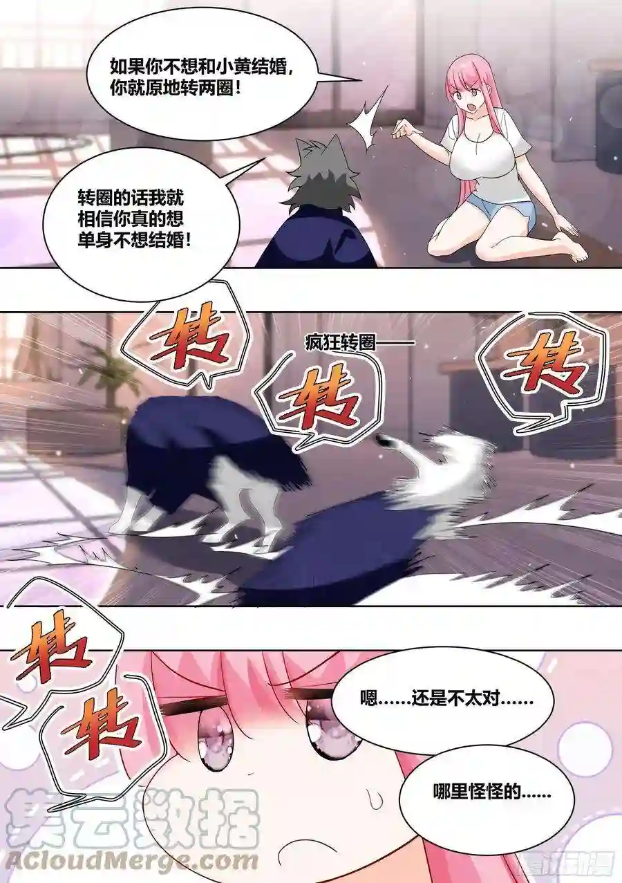 直播：女神家的哈士奇天秀220-败家指令