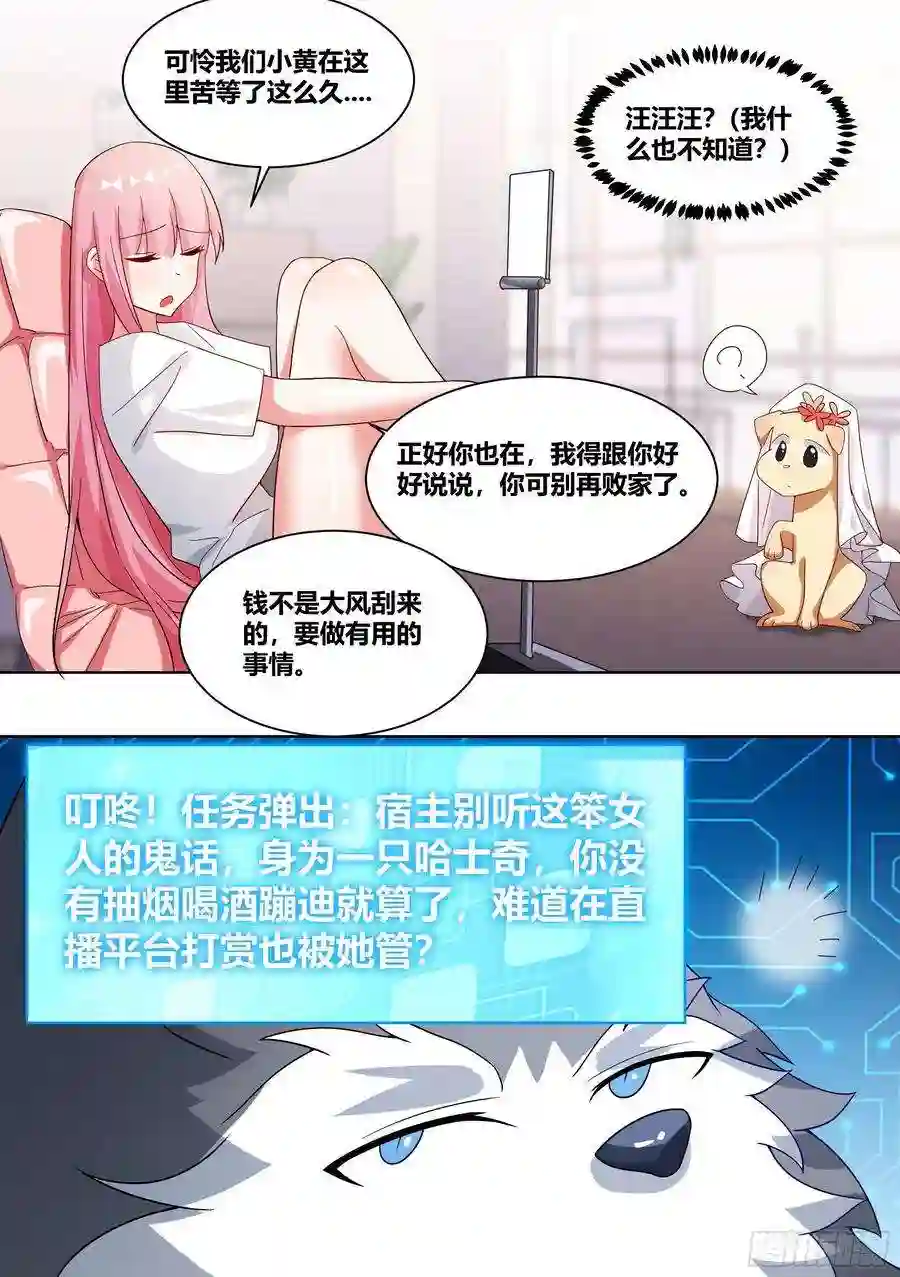 直播：女神家的哈士奇天秀220-败家指令