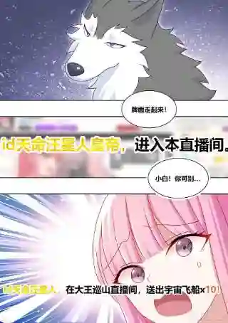 直播：女神家的哈士奇天秀222-双重败家
