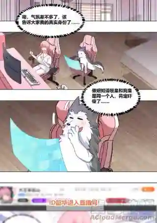 直播：女神家的哈士奇天秀223-现在这是家事