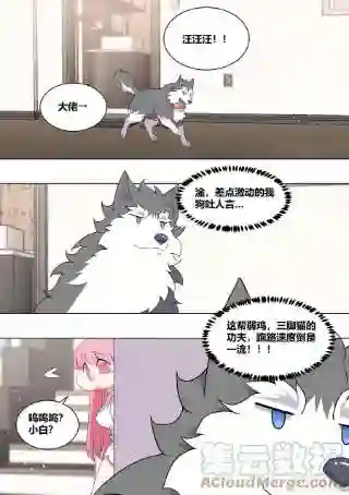 直播：女神家的哈士奇天秀227-母后？？