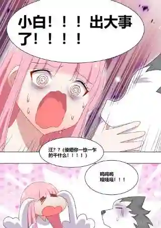 直播：女神家的哈士奇天秀227-母后？？