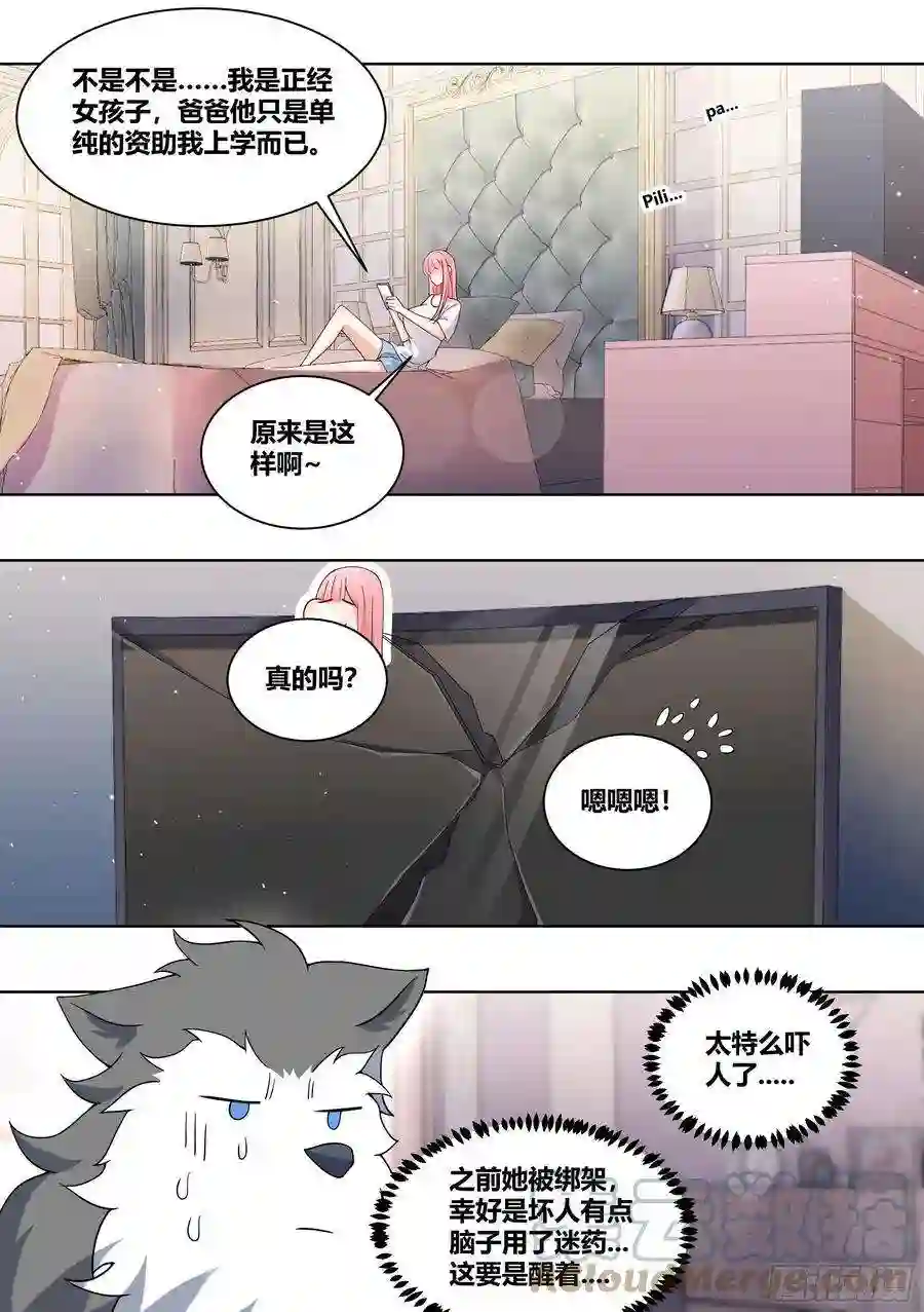 直播：女神家的哈士奇天秀228-晕3D