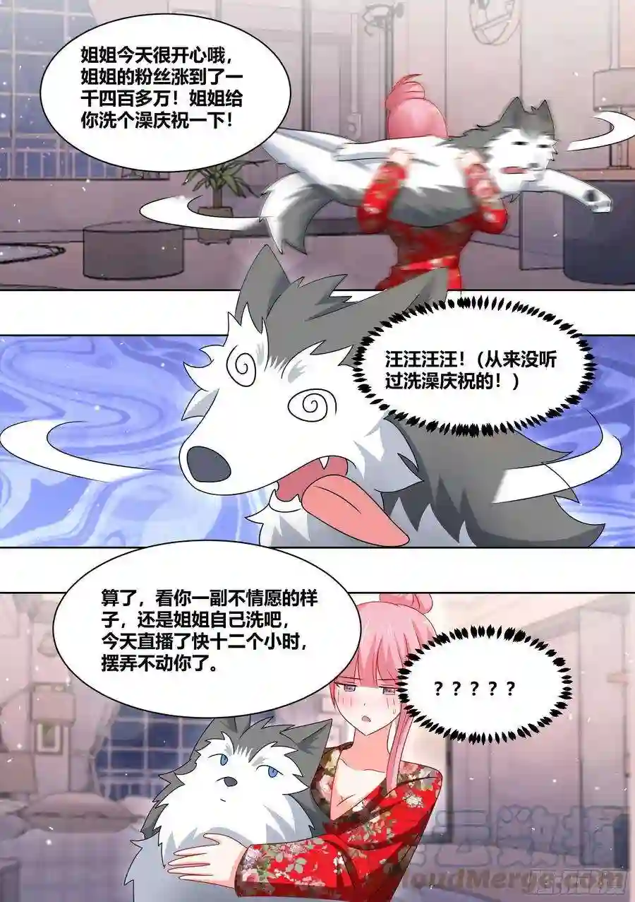 直播：女神家的哈士奇天秀232-一起话老家吗