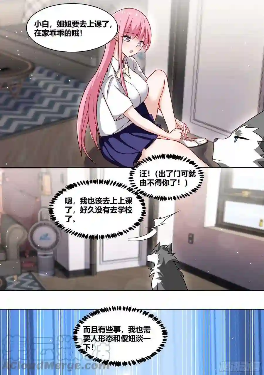 直播：女神家的哈士奇天秀232-一起话老家吗