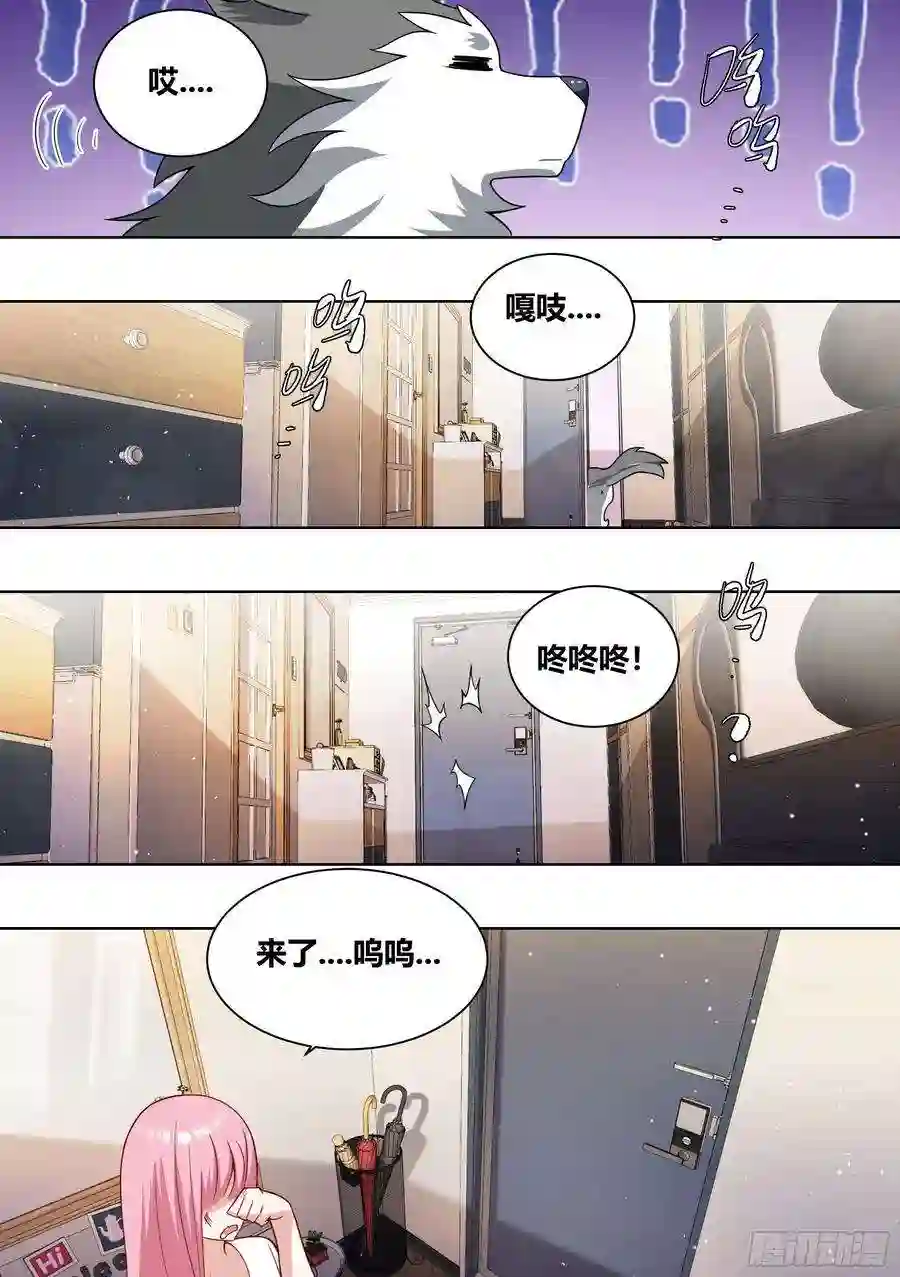 直播：女神家的哈士奇天秀234-杨梦欣篇2