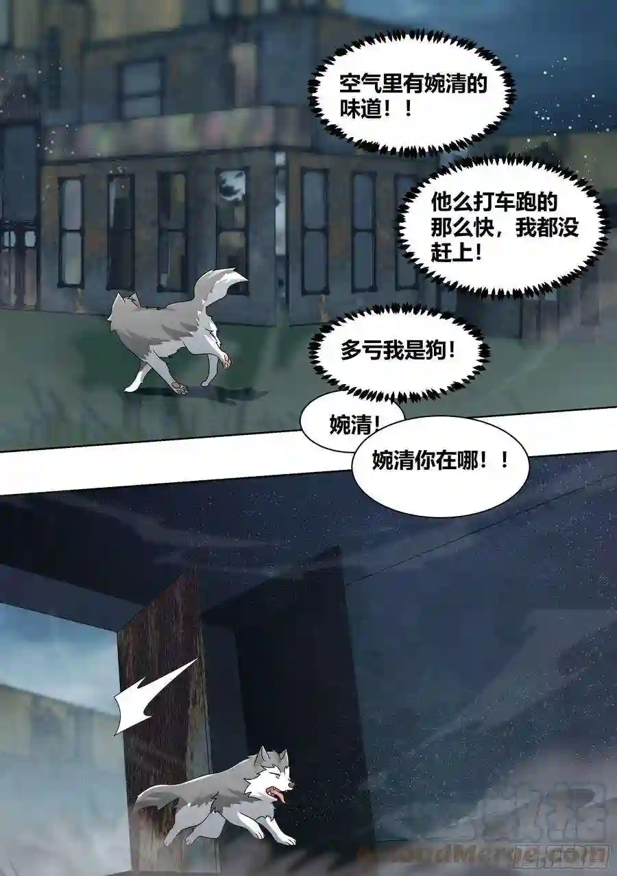 直播：女神家的哈士奇天秀239-杨梦欣篇7